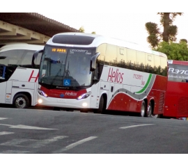 Fotografia de um ônibus trucado, com carroceria Mascarello modelo Roma 370, com chassi Mercedes Benz O500, prefixo n° 360 com pintura predominante na cor branca e três faixas longitudinais em formato de onda nas cores prata, verde e vermelho. A grade dianteira é e a traseira são integralmente vermelhas. Acima da cabine do motorista há um vidro fixo com a finalidade de teto solar que dá um ar mais moderno ao design do veículo.
O ônibus está de lado, onde aparece à dianteira e a lateral esquerda em sua totalidade.
Este ônibus possui 42 lugares, todos estes em poltronas soft que proporcionam maior conforto durante as viagens.
Acima de cada conjunto de poltronas existe a luz de leitura e uma saída de energia USB onde podem ser conectados telefones celulares e smartphones através de cabo USB.
Veículo possui acessibilidade com sinalização diferenciada nas escadas, corrimões, alças de apoio, alem de 2 poltronas reservadas para portadores de necessidades especiais, gestantes, obesos ou idosos. Acima destas poltronas reservadas há um botão de emergência que ao ser acionado emite sinal sonoro e luminoso junto ao painel do motorista.
