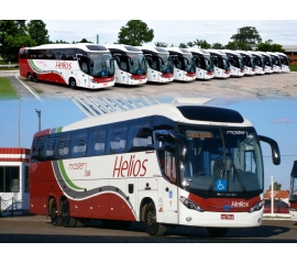 Fotografia registra 12 ônibus trucados zero quilometro que foram inseridos à frota da empresa Helios em março de 2016. A fotografia retrata todos os veículos, lado a lado, de forma regressiva do prefixo n° 408 ao prefixo n° 386. 
Os 12 veículos possuem as seguintes configurações: 6 ônibus  com chassis Volvo B420-R e outros 6 ônibus com chassis Mercedes Bens O-500RSD. Porém, todos com carroceria Mascarello modelo Roma R8.
Todos os veículos forma pintados com o layout tradicional do empresa Helios, melhor descrevendo: pintura predominante na cor branca e três faixas longitudinais em formato de onda nas cores prata, verde e vermelho. A grade dianteira é e a traseira são integralmente vermelhas. Acima da cabine do motorista há um vidro fixo com a finalidade de teto solar que dá um ar mais moderno ao design do veículo.
